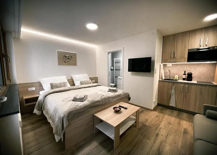 U Kralika, Prizemni Bezbarierove A,b,c,d - 50 Metru Od Vleku - Prejdete V Lyzacich, Pod Bobovou Drahou, Parkovani Zdarma, Lyzarna S Vysouseci Bot, Dolní Morava