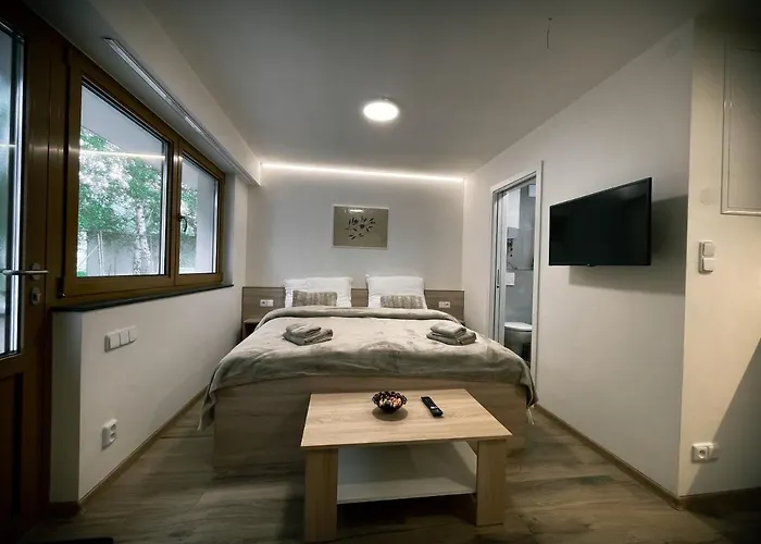 U Kralika, Prizemni Bezbarierove A,b,c,d - 50 Metru Od Vleku - Prejdete V Lyzacich, Pod Bobovou Drahou, Parkovani Zdarma, Lyzarna S Vysouseci Bot, Dolní Morava